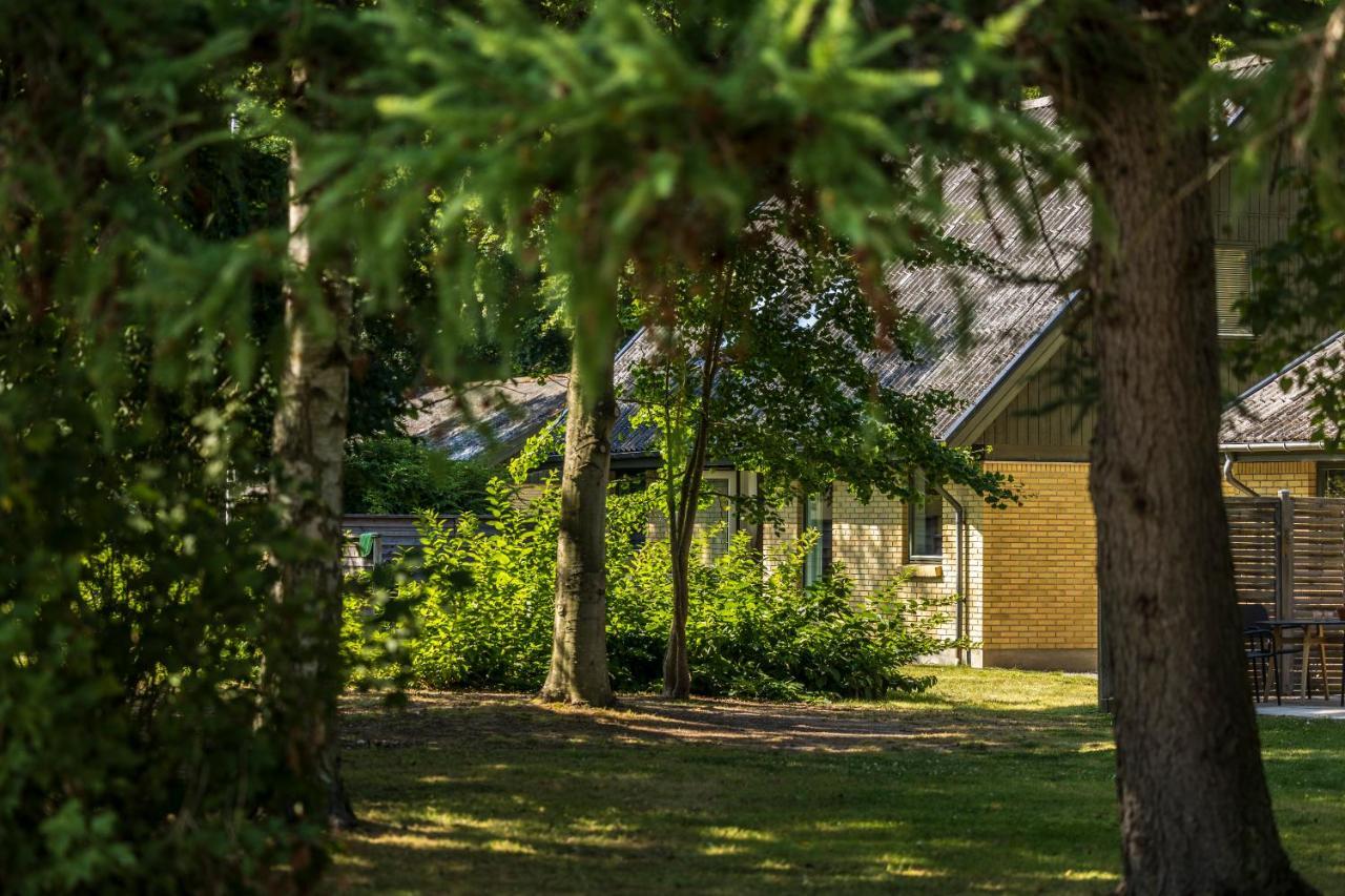 Pederstrup Bed And Breakfast Torrig Εξωτερικό φωτογραφία